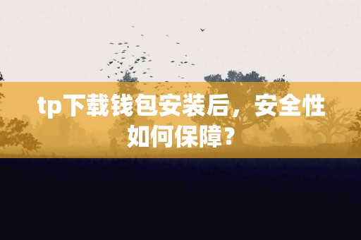 tp下载钱包安装后，安全性如何保障？