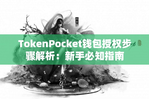 TokenPocket钱包授权步骤解析：新手必知指南