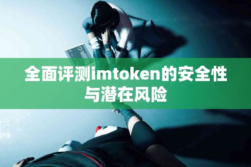 全面评测imtoken的安全性与潜在风险