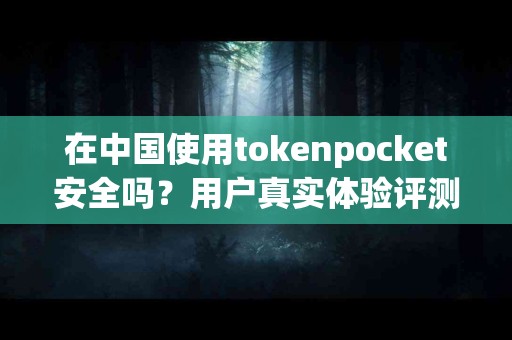 在中国使用tokenpocket安全吗？用户真实体验评测