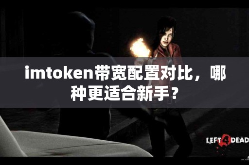 imtoken带宽配置对比，哪种更适合新手？