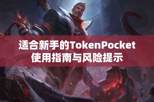 适合新手的TokenPocket使用指南与风险提示