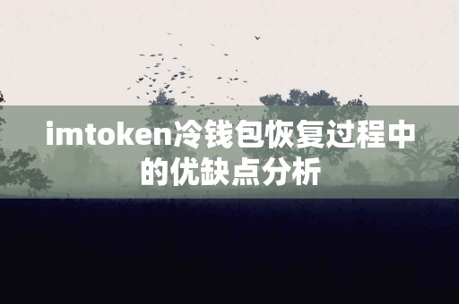imtoken冷钱包恢复过程中的优缺点分析
