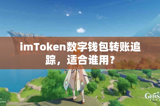 imToken数字钱包转账追踪，适合谁用？