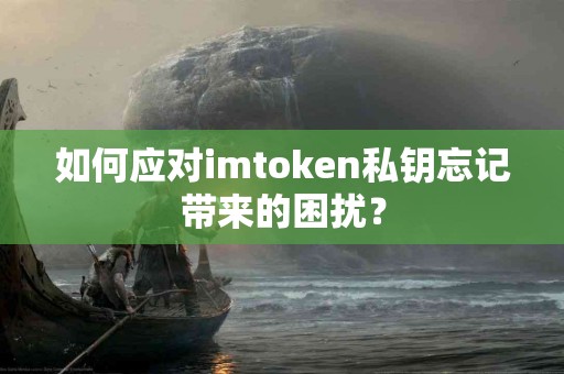 如何应对imtoken私钥忘记带来的困扰？