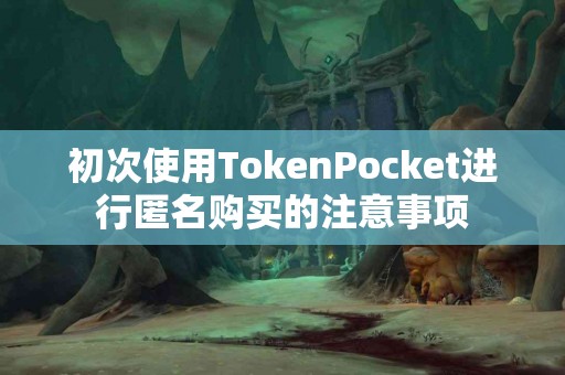 初次使用TokenPocket进行匿名购买的注意事项