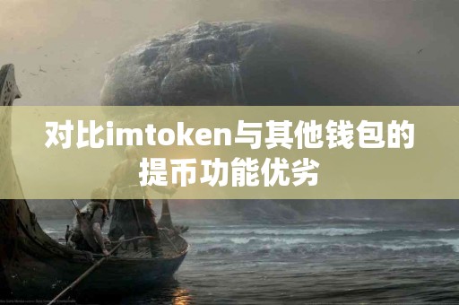 对比imtoken与其他钱包的提币功能优劣