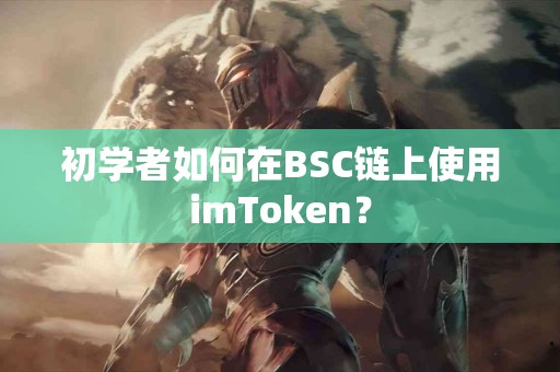 初学者如何在BSC链上使用imToken？