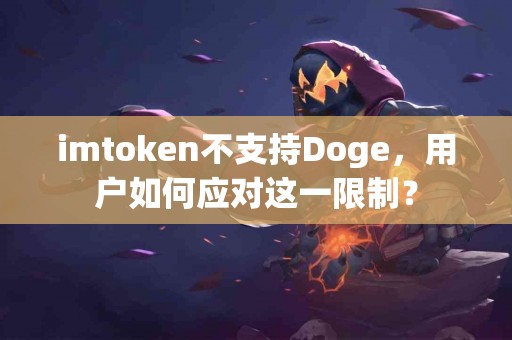 imtoken不支持Doge，用户如何应对这一限制？