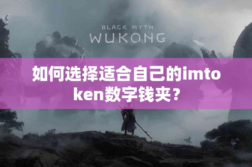 如何选择适合自己的imtoken数字钱夹？