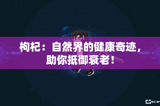 枸杞：自然界的健康奇迹，助你抵御衰老！