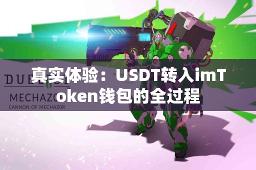 真实体验：USDT转入imToken钱包的全过程
