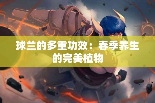 球兰的多重功效：春季养生的完美植物