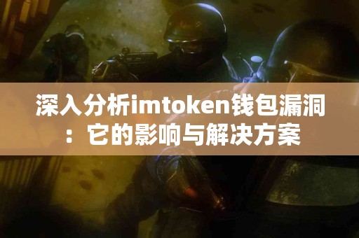 深入分析imtoken钱包漏洞：它的影响与解决方案