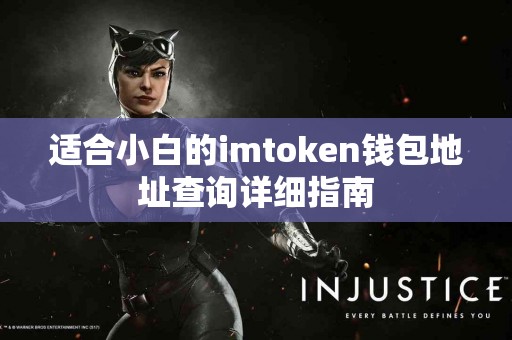 适合小白的imtoken钱包地址查询详细指南