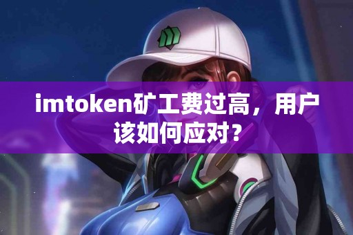 imtoken矿工费过高，用户该如何应对？