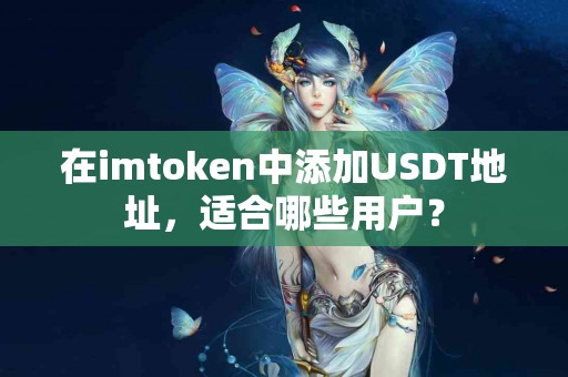 在imtoken中添加USDT地址，适合哪些用户？