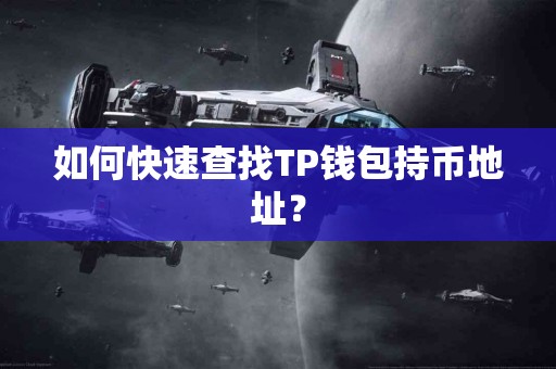 如何快速查找TP钱包持币地址？