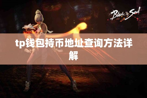 tp钱包持币地址查询方法详解