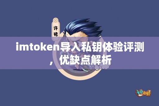 imtoken导入私钥体验评测，优缺点解析