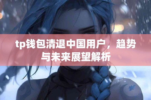 tp钱包清退中国用户，趋势与未来展望解析