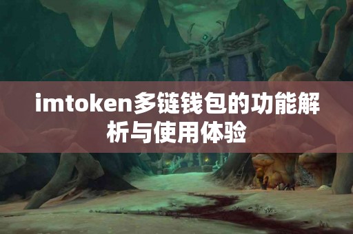 imtoken多链钱包的功能解析与使用体验