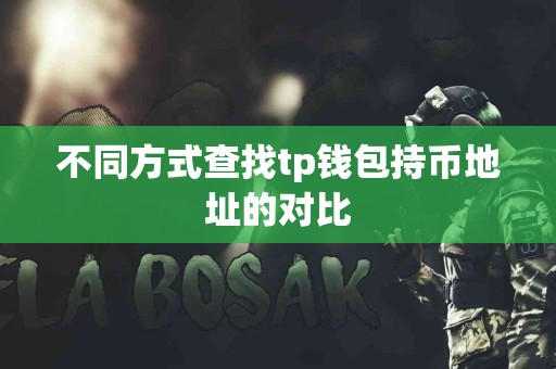 不同方式查找tp钱包持币地址的对比