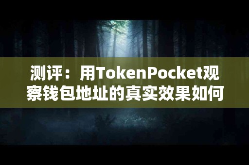 测评：用TokenPocket观察钱包地址的真实效果如何