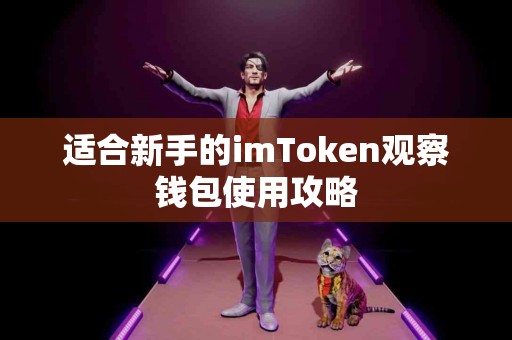 适合新手的imToken观察钱包使用攻略