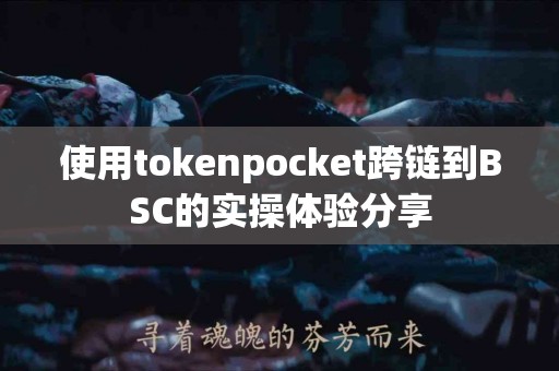 使用tokenpocket跨链到BSC的实操体验分享