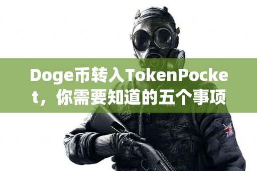 Doge币转入TokenPocket，你需要知道的五个事项
