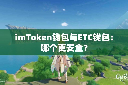 imToken钱包与ETC钱包：哪个更安全？