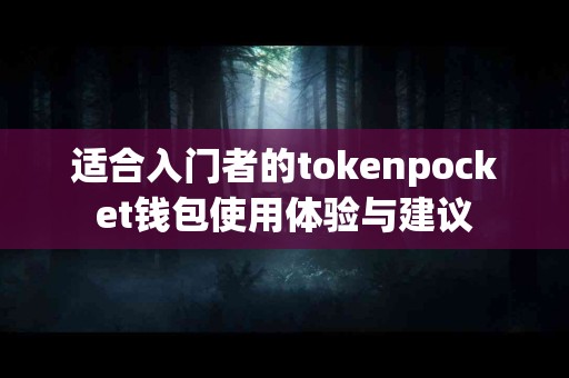 适合入门者的tokenpocket钱包使用体验与建议