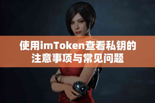 使用imToken查看私钥的注意事项与常见问题