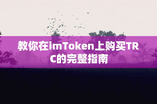 教你在imToken上购买TRC的完整指南