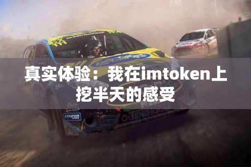 真实体验：我在imtoken上挖半天的感受