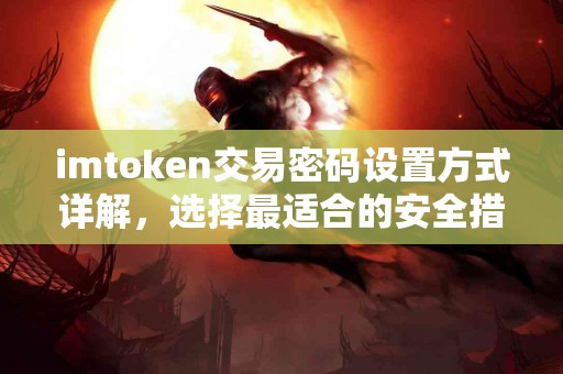 imtoken交易密码设置方式详解，选择最适合的安全措施