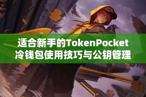 适合新手的TokenPocket冷钱包使用技巧与公钥管理