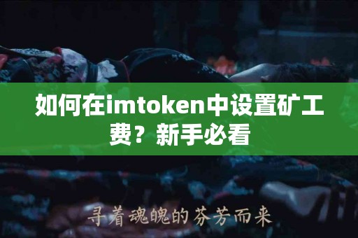 如何在imtoken中设置矿工费？新手必看
