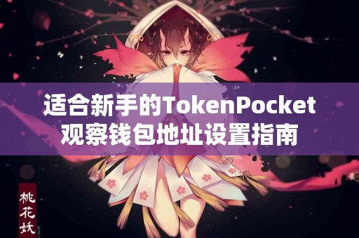 适合新手的TokenPocket观察钱包地址设置指南