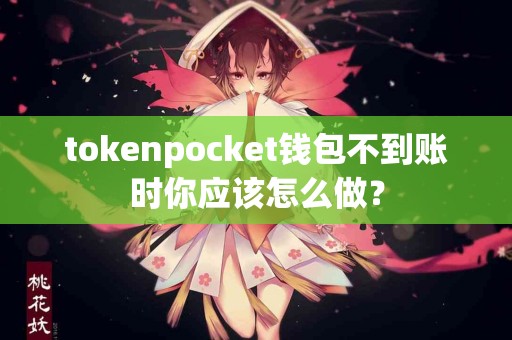 tokenpocket钱包不到账时你应该怎么做？