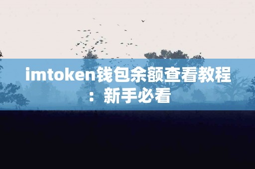 imtoken钱包余额查看教程：新手必看
