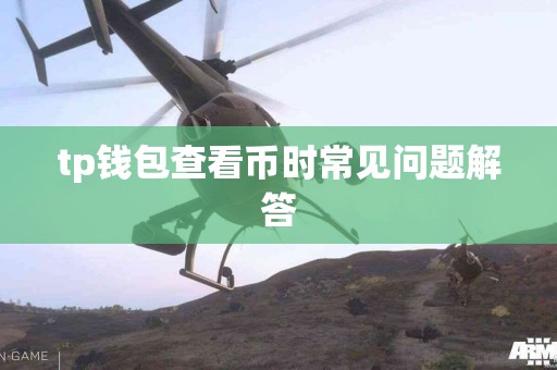 tp钱包查看币时常见问题解答