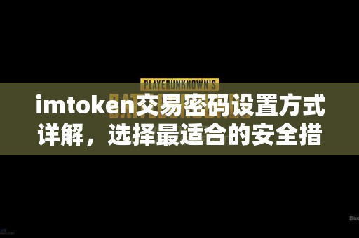 imtoken交易密码设置方式详解，选择最适合的安全措施