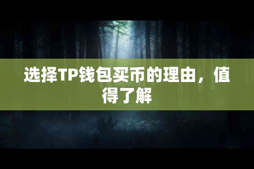 选择TP钱包买币的理由，值得了解
