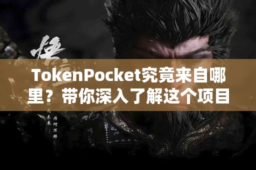 TokenPocket究竟来自哪里？带你深入了解这个项目