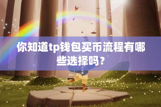 你知道tp钱包买币流程有哪些选择吗？