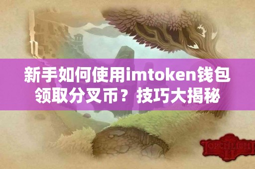 新手如何使用imtoken钱包领取分叉币？技巧大揭秘