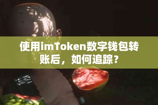 使用imToken数字钱包转账后，如何追踪？