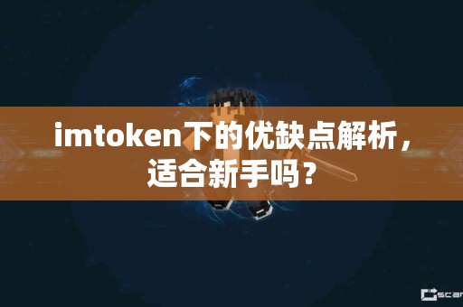 imtoken下的优缺点解析，适合新手吗？